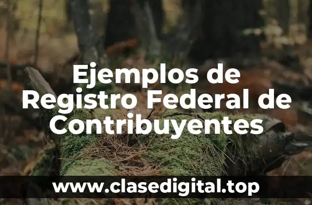 Ejemplos de Registro Federal de Contribuyentes