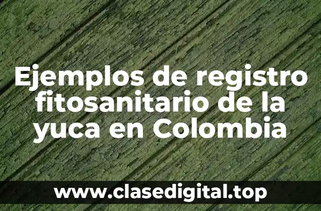 Ejemplos de registro fitosanitario de la yuca en Colombia