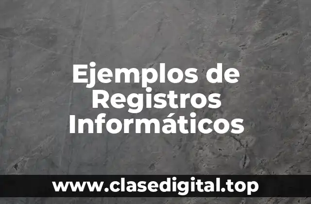 Ejemplos de Registros Informáticos