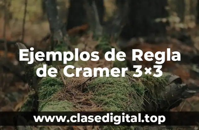 Ejemplos de Regla de Cramer 3×3