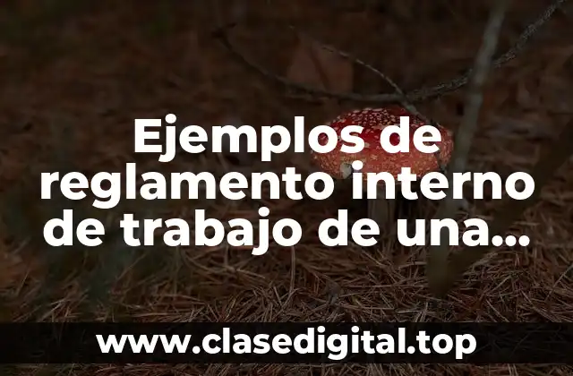 Ejemplos de reglamento interno de trabajo de una empresa mexicana