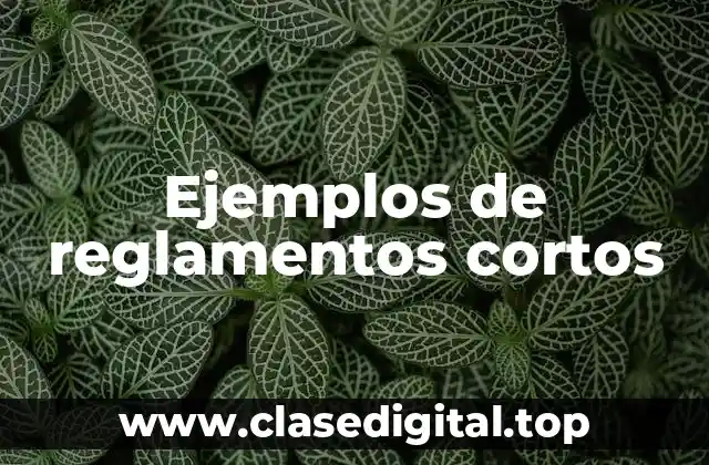 Ejemplos de reglamentos cortos