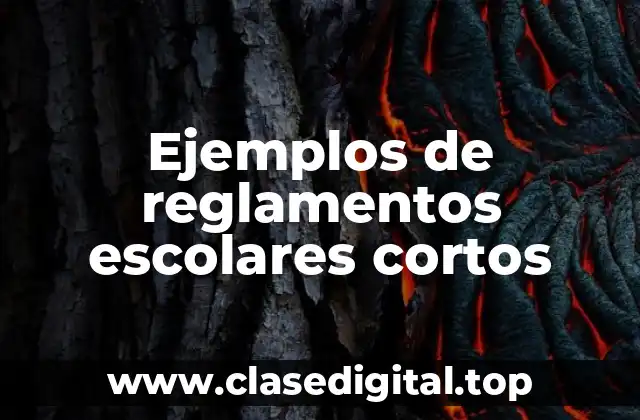 Ejemplos de reglamentos escolares cortos