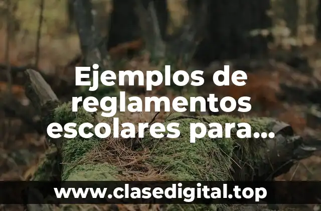 Ejemplos de reglamentos escolares para participar en juegos de mesa