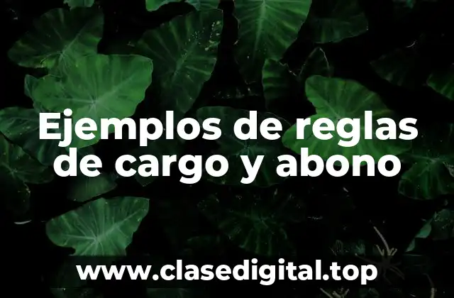 Ejemplos de reglas de cargo y abono
