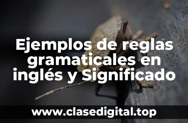Ejemplos de reglas gramaticales en inglés