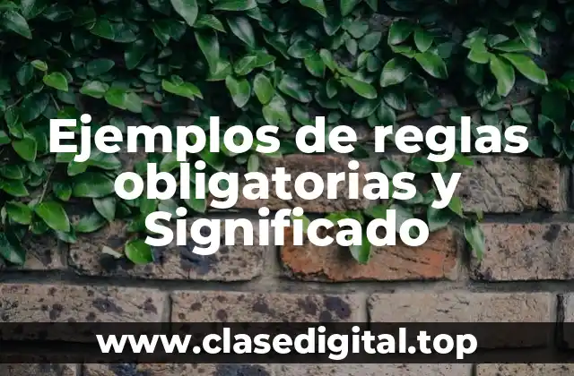 Ejemplos de reglas obligatorias y Significado