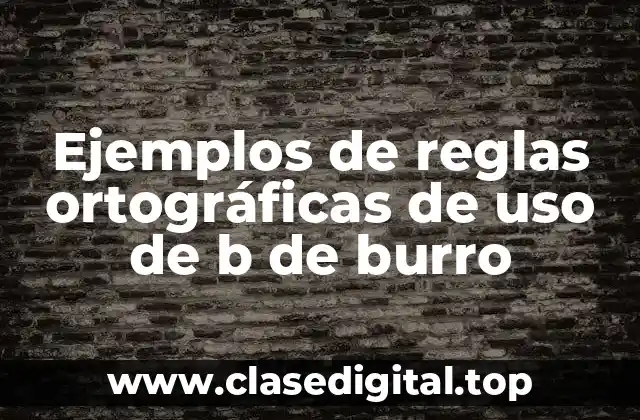 Ejemplos de reglas ortográficas de uso de b de burro