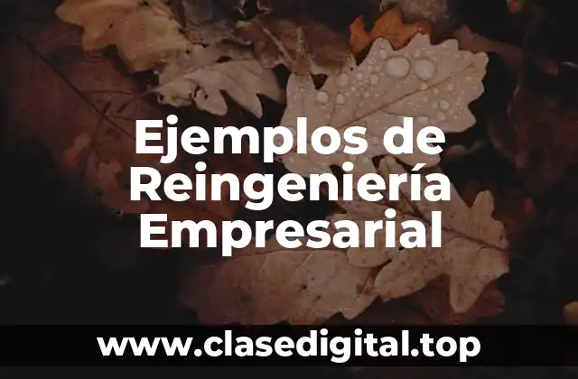Ejemplos de Reingeniería Empresarial