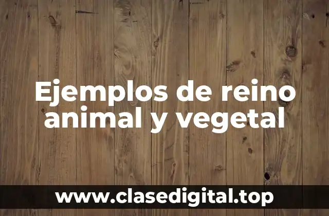 Ejemplos de reino animal y vegetal