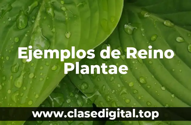 Ejemplos de Reino Plantae