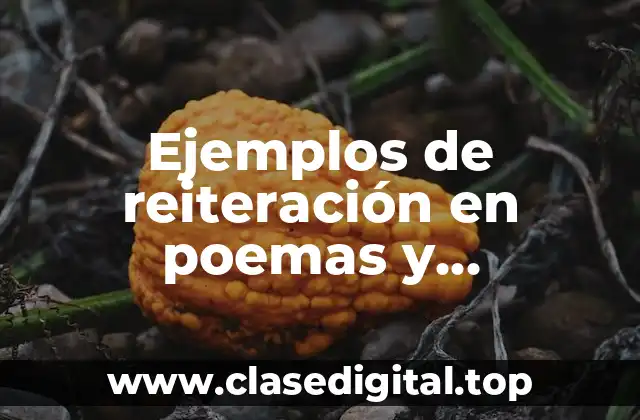 Ejemplos de reiteración en poemas y Significado