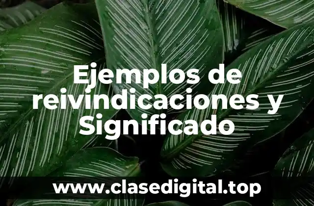 Ejemplos de reivindicaciones y Significado