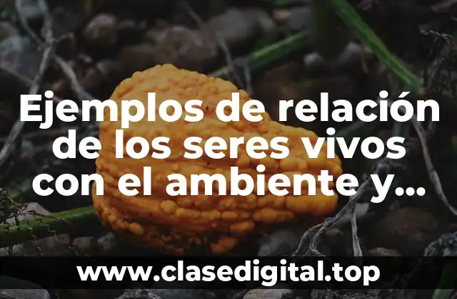 Ejemplos de relación de los seres vivos con el ambiente