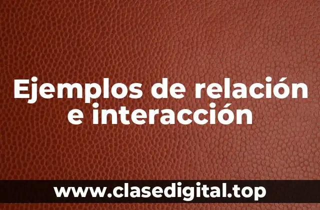 Ejemplos de relación e interacción