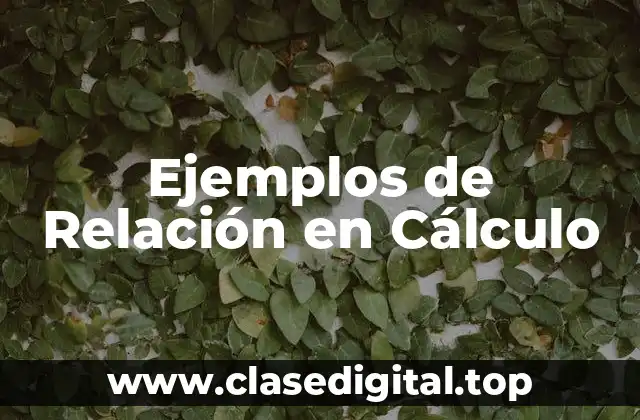 Ejemplos de Relación en Cálculo