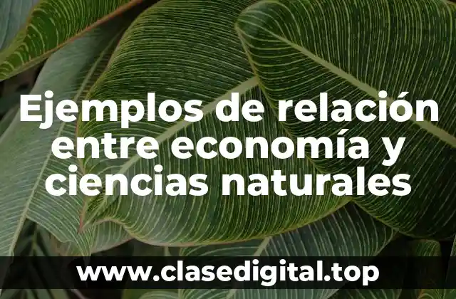 Ejemplos de relación entre economía y ciencias naturales
