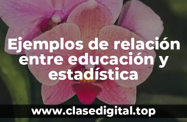Ejemplos de relación entre educación y estadística