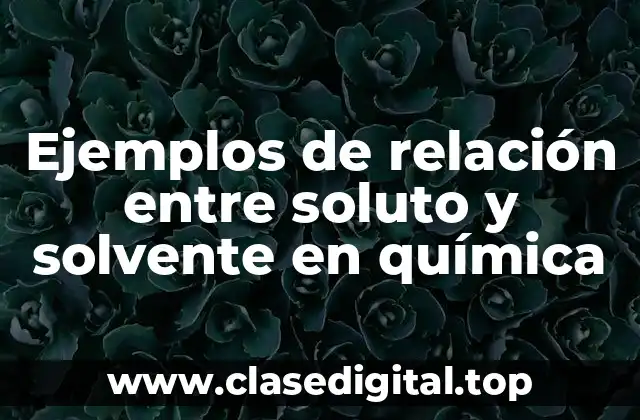 Ejemplos de relación entre soluto y solvente en química