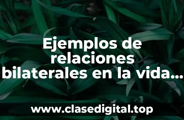 Ejemplos de relaciones bilaterales