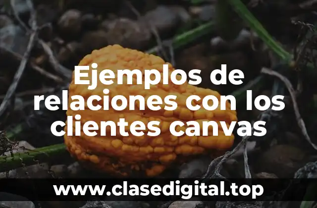 Ejemplos de relaciones con los clientes canvas