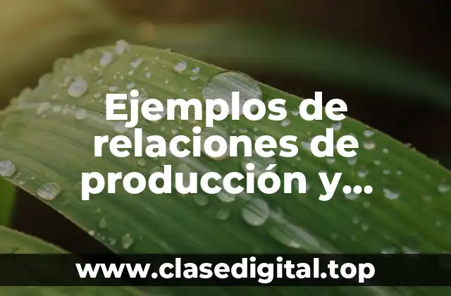 Ejemplos de relaciones de producción
