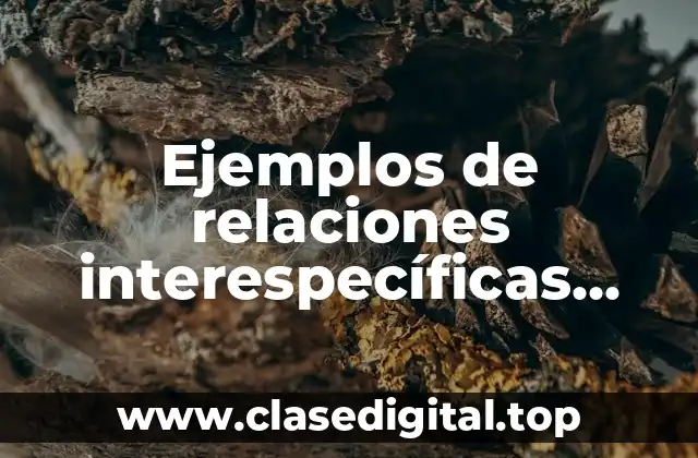 Ejemplos de relaciones interespecíficas mutualismo