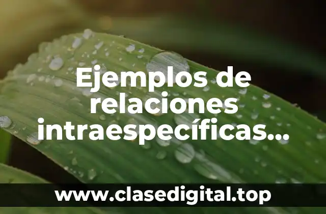 Ejemplos de relaciones intraespecíficas competencia