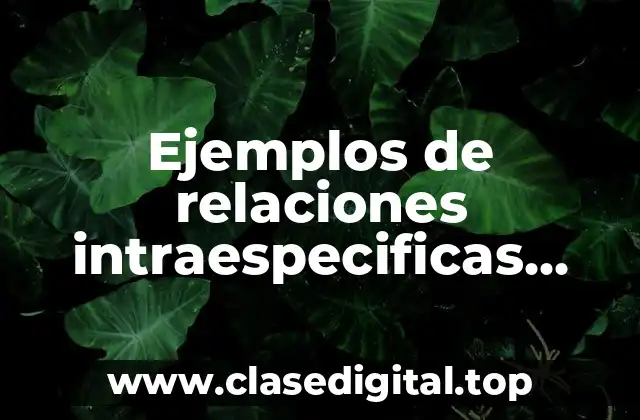 Ejemplos de relaciones intraespecificas cooperación