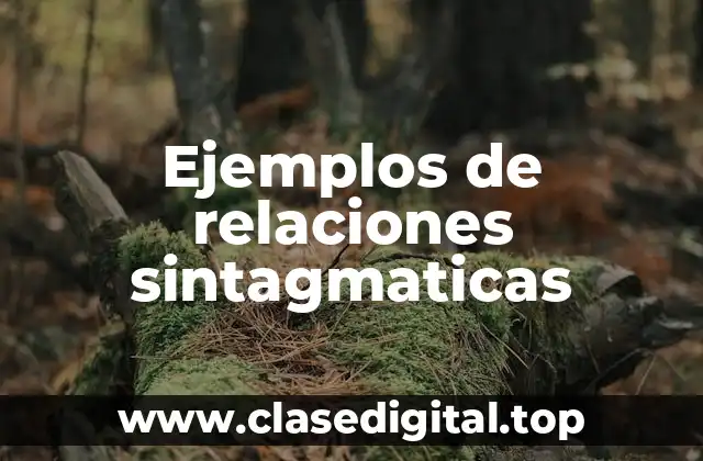 Ejemplos de relaciones sintagmaticas