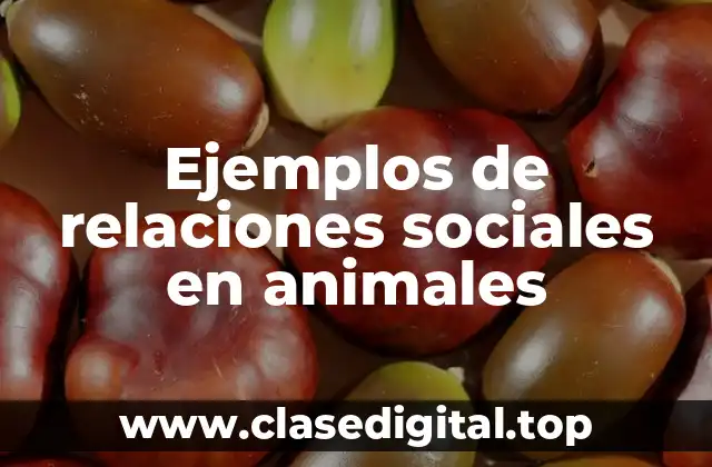 Ejemplos de relaciones sociales en animales