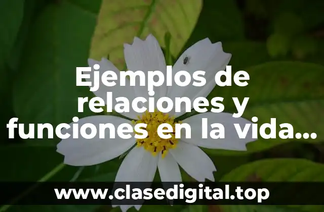 Ejemplos de relaciones y funciones en la vida cotidiana
