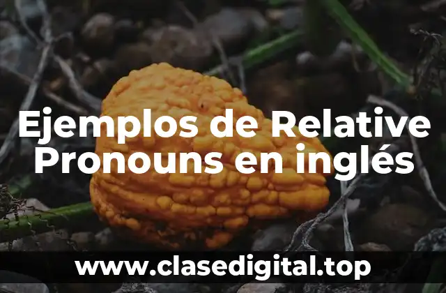 Ejemplos de Relative Pronouns en inglés