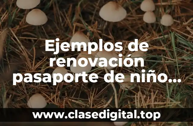 Ejemplos de renovación pasaporte de niño en Estados Unidos