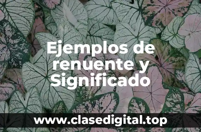 Ejemplos de renuente