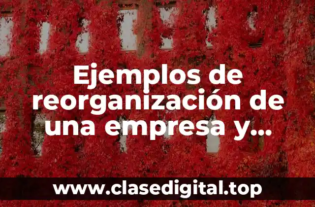 Ejemplos de reorganización de una empresa y Significado