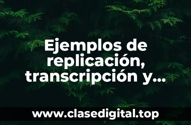 Ejemplos de replicación, transcripción y traducción del ADN