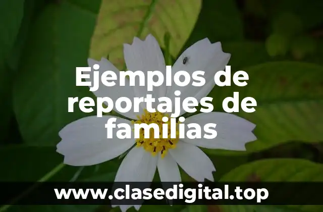 Ejemplos de reportajes de familias