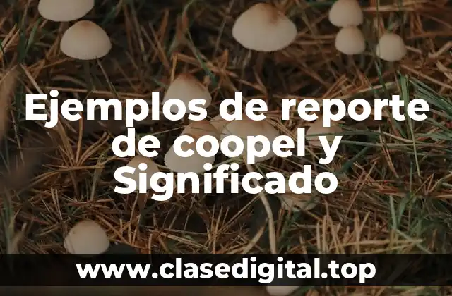 Ejemplos de reporte de coopel y Significado