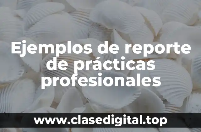 Ejemplos de reporte de prácticas profesionales