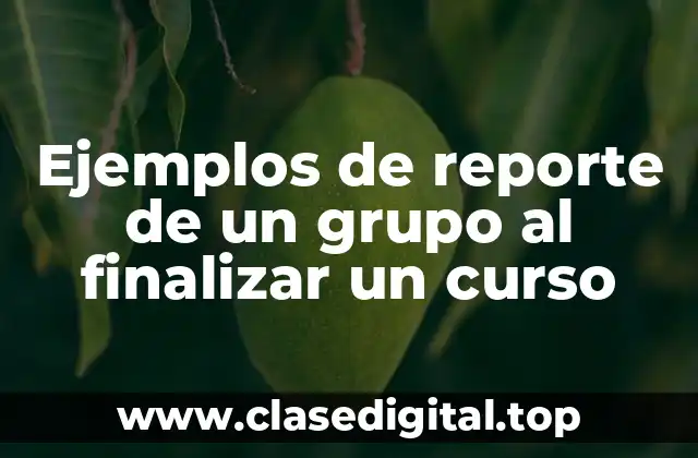 Ejemplos de reporte de un grupo al finalizar un curso