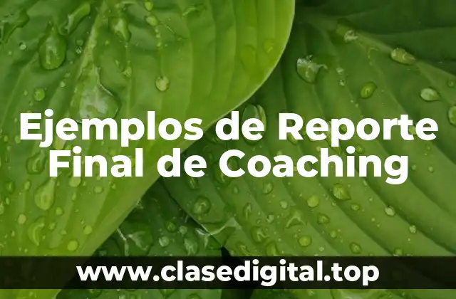 Ejemplos de Reporte Final de Coaching