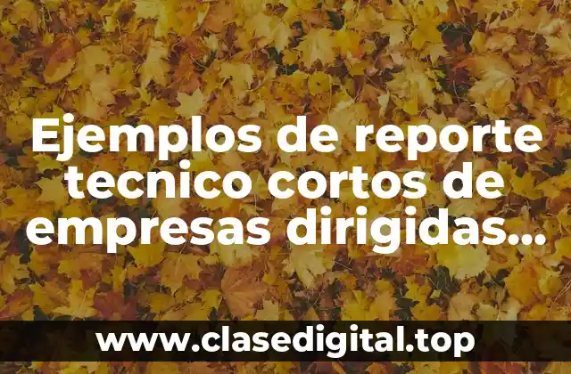 Ejemplos de reporte tecnico cortos de empresas dirigidas al consumo