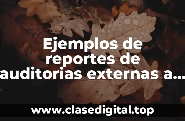 Ejemplos de reportes de auditorias externas a un sitio web