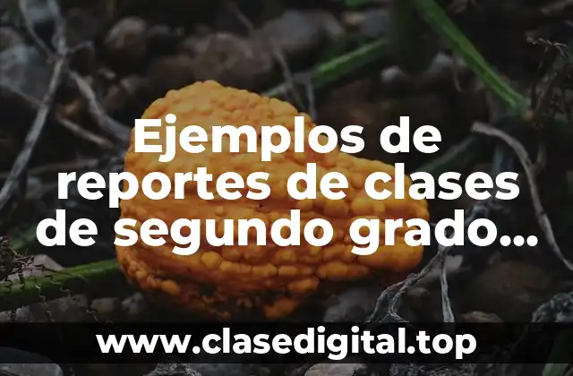 Ejemplos de reportes de clases de segundo grado de primaria