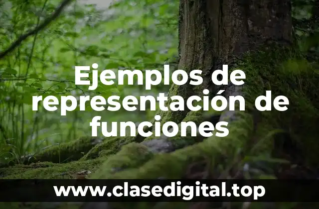Ejemplos de representación de funciones