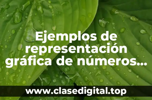 Ejemplos de representación gráfica de números irracionales y Significado