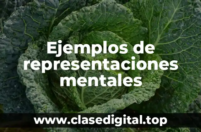 Ejemplos de representaciones mentales