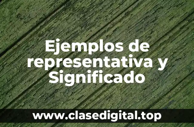Ejemplos de representativa