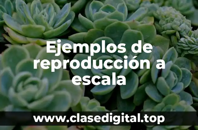 Ejemplos de reproducción a escala